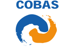 Communauté d'Agglomération du Bassin d'Arcachon Sud